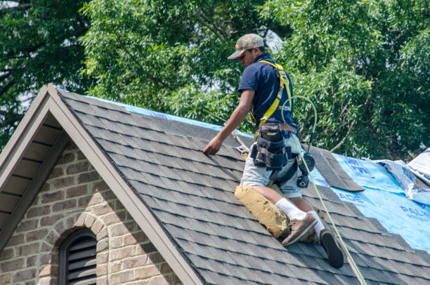 Best Roof Maintenance Services  in Cottleville, MO